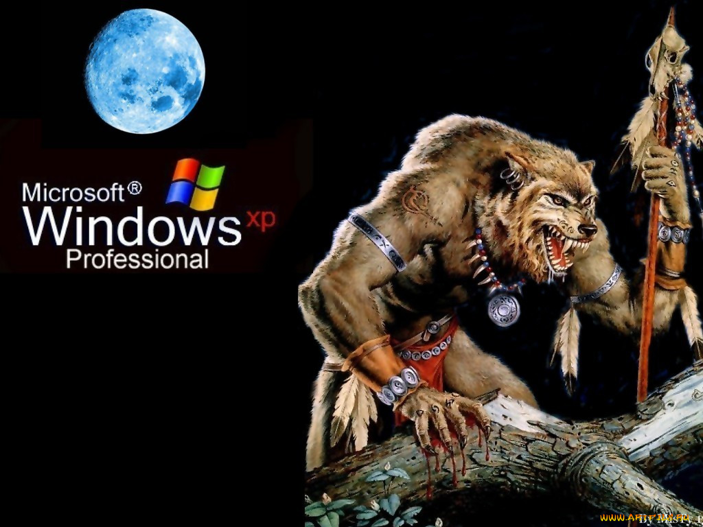, windows, xp